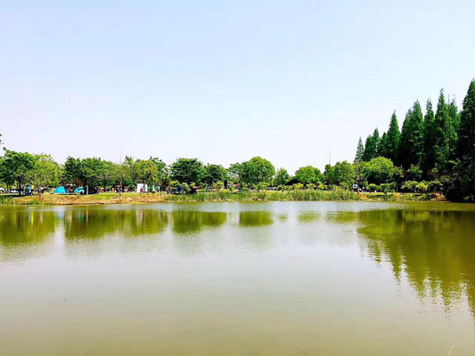 在崇明这座宝藏小岛,等风来