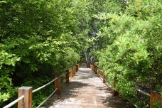 张家口-山间小逸