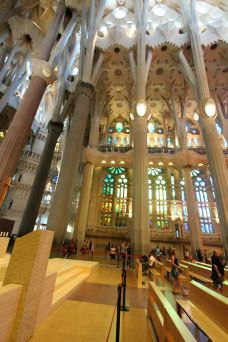 圣家族大教堂-巴塞罗那-翱翔的大鲨鱼