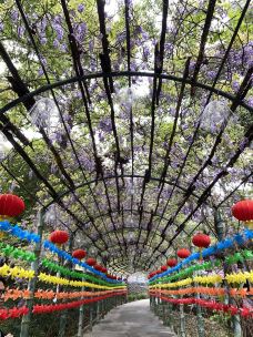 经律论文化旅游小镇-韶关-cattanjing