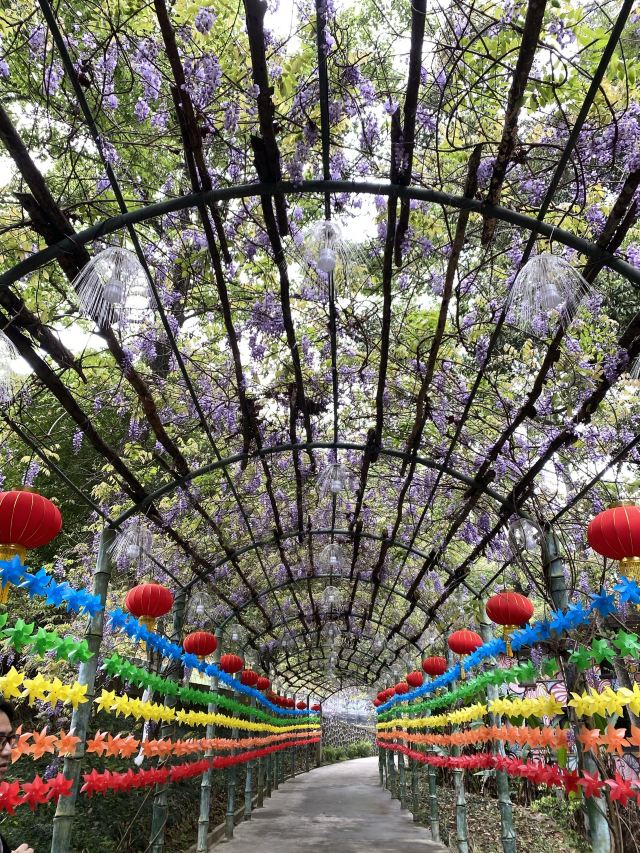 经律论文化旅游小镇旅行图片 2