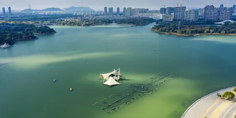 暨陽湖生態園區