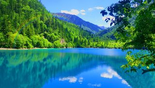 你说，要在九寨，继续写完那一年的故事