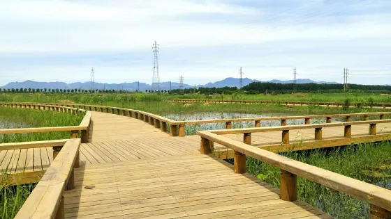 琉璃河濕地公園