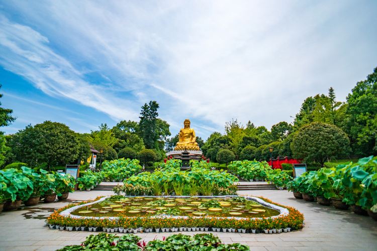 华岩寺