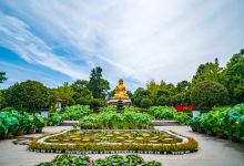 华岩寺景点图片