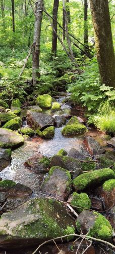 铧子山森林公园-通河-YoYo_2Q6I4Q2Y