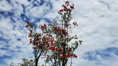 武隆区游记图片] 仙女山避暑