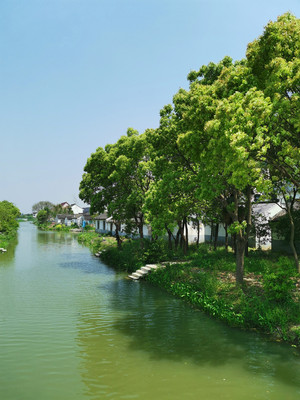 水村一瞥