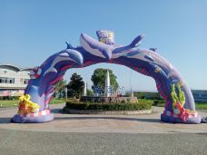 苏州海洋馆-苏州-YoYo_6G2A8G3X