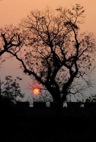 我的家乡----霞浦长春传胪的城堡