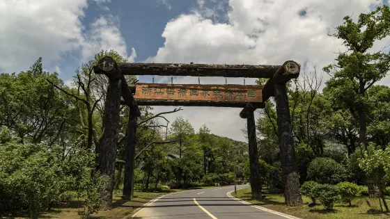 湖州樑希森林公園