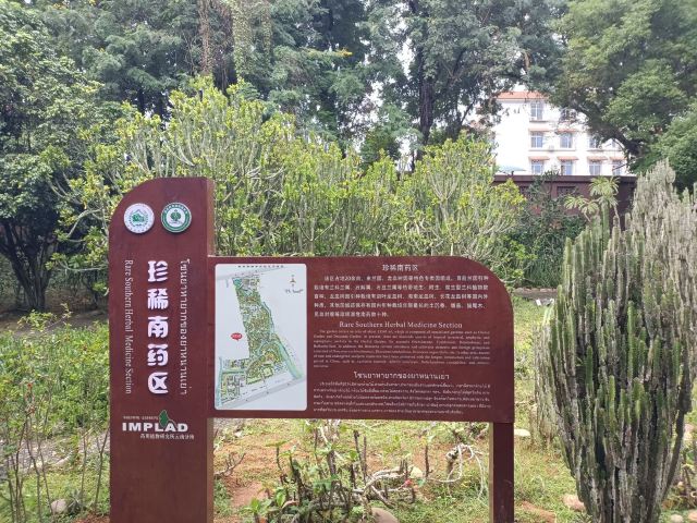 西双版纳南药园旅行图片 3
