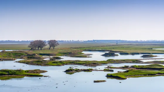 東洞庭湖國家級自然保護區