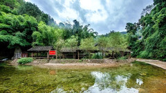 贵阳东站/新添寨/乌当地区游记图片] 乡游黔中·乌当区 陇脚村丨风动竹林，春到此处，一起收获绿意