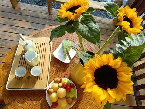 崇明自驾一日游，住了雅婧可居民宿，绝绝子。