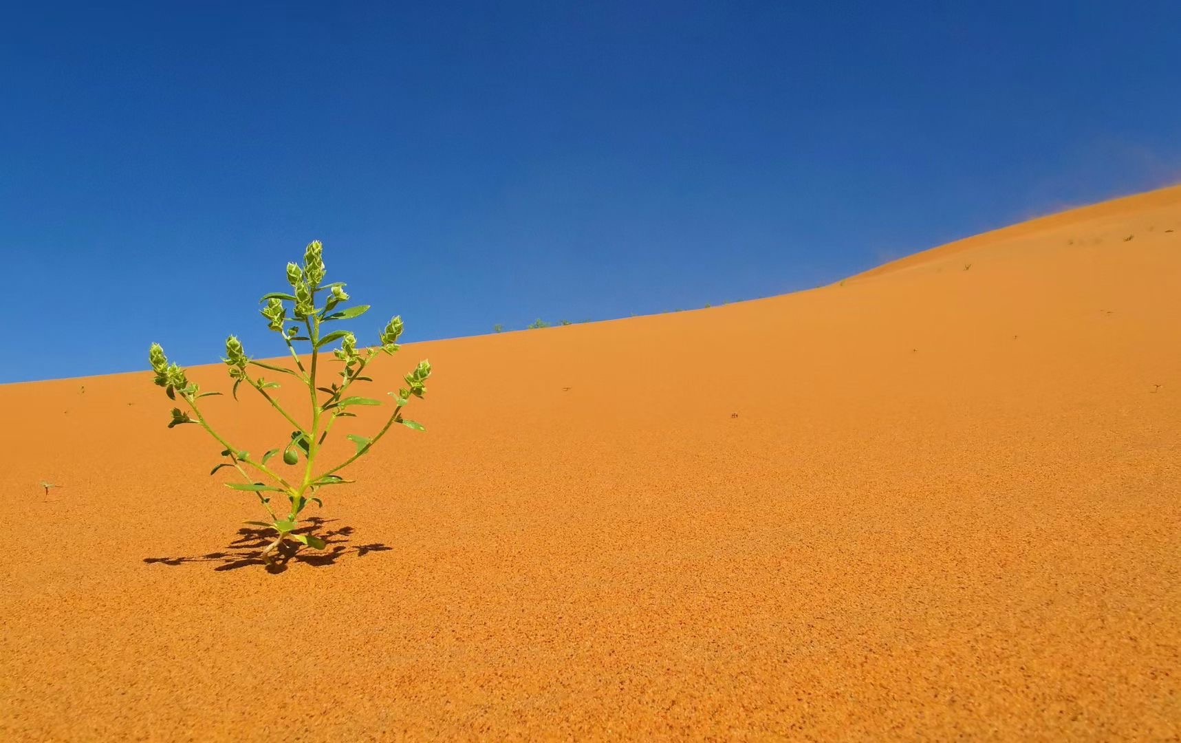 Ningxia Tengri Desert