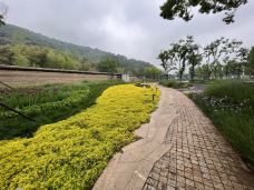 古猿人洞-南京-C-IMAGE