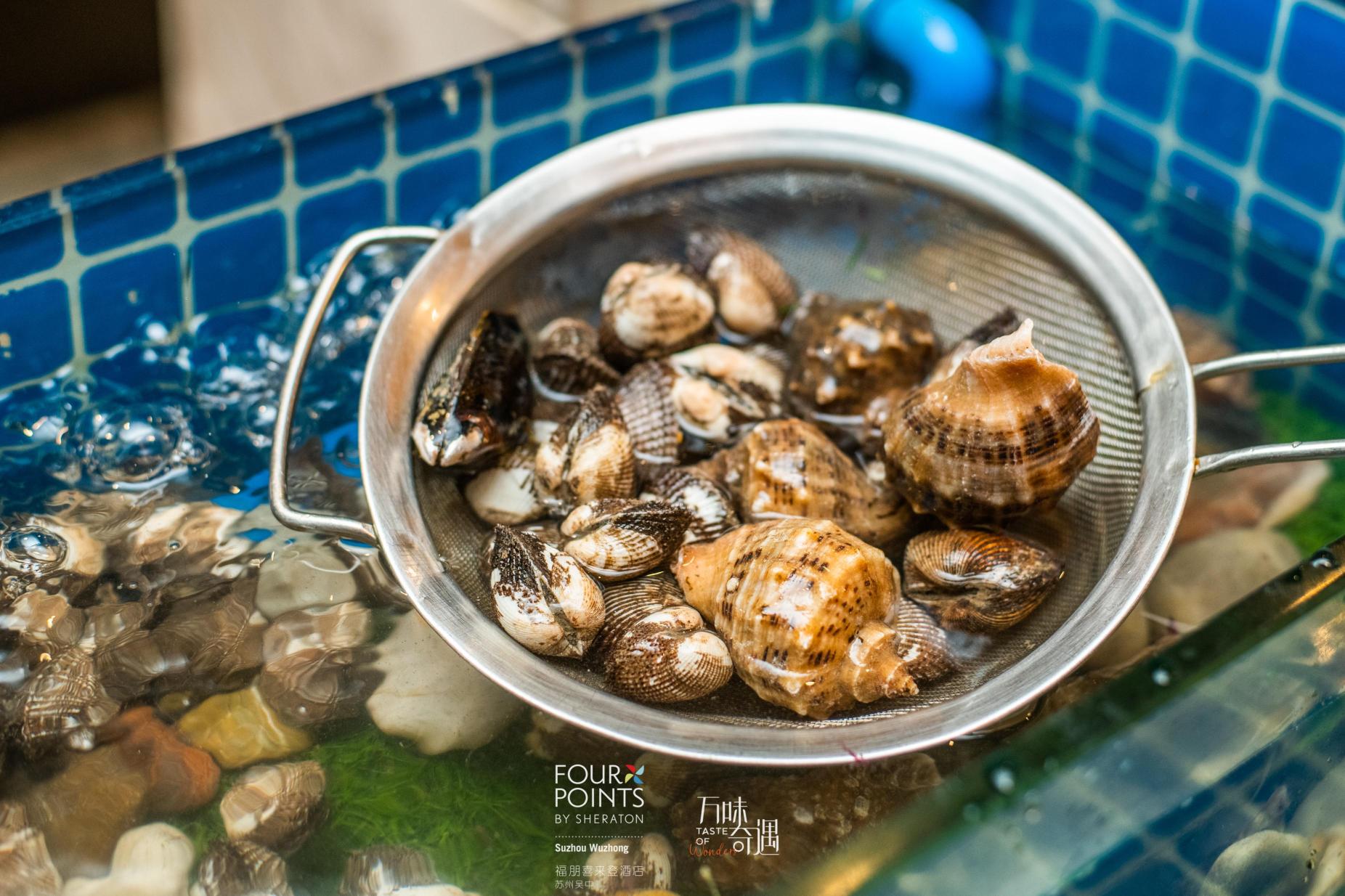 苏州吴中福朋喜来登酒店·宜客乐