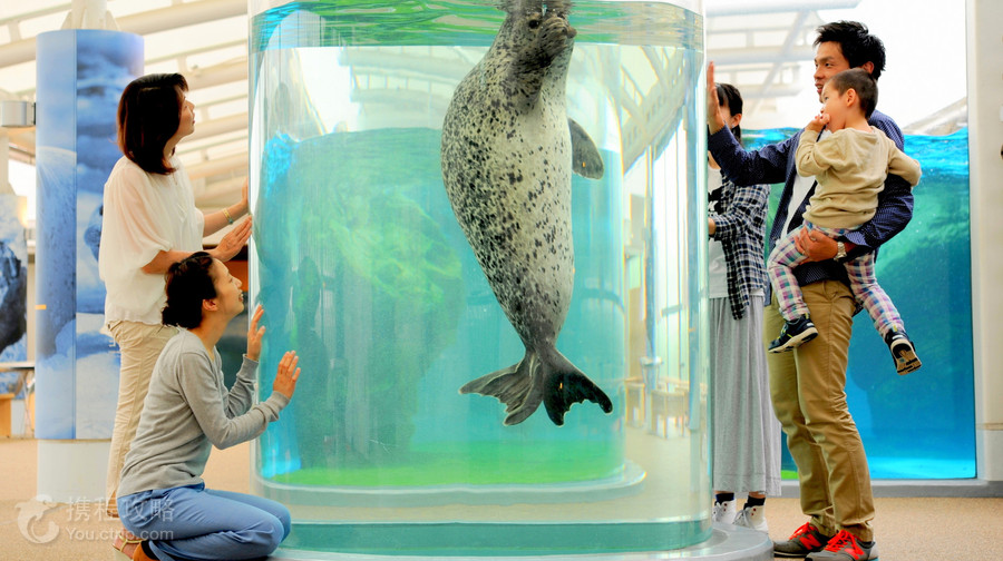 京都水族館