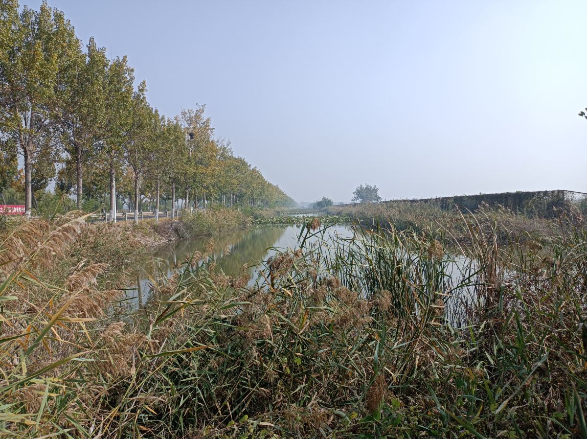 大黄堡湿地自然保护区 · 天津市 · 景点