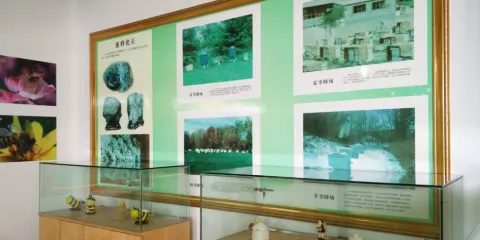 安寧蜜蜂博物館