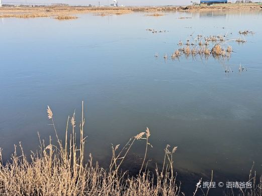 马营湿地