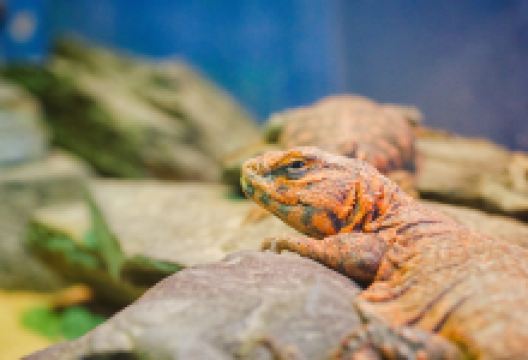 伯恩茅斯水族馆景点图片