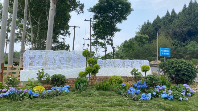 桉树林自然教育基地