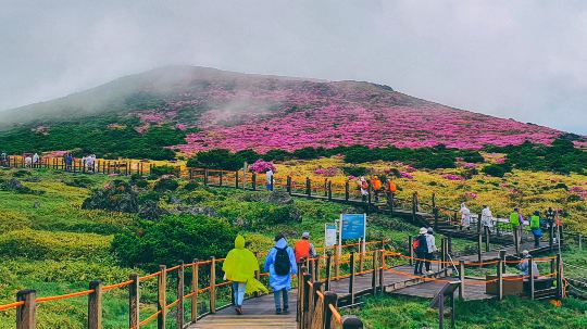 漢拿山國立公園