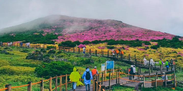 漢拿山國立公園
