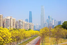 3-Day Guangzhou Tour: Exploring the City from Chen Clan Ancestral Hall to Canton Tower
