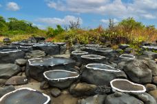 儋州千年古盐田-儋州