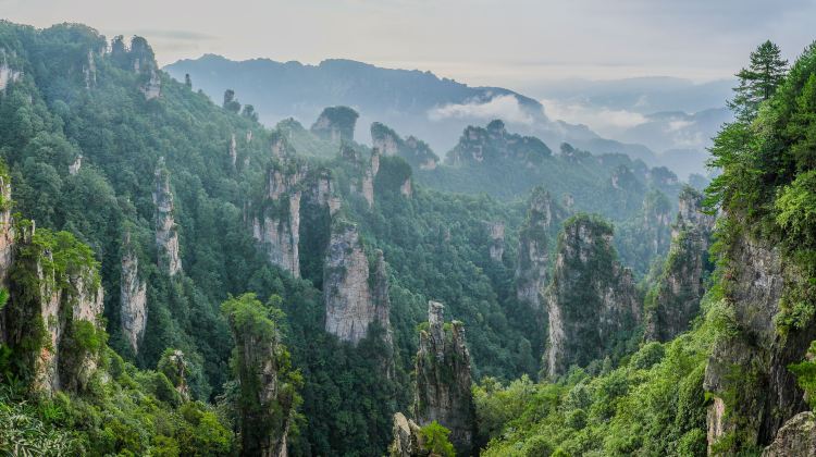 4-day 3-night · Private Tour · Zhangjiajie + Zhangjiajie Grand Canyon + Tianmen Mountain National Forest Park + Fenghuang Ancient Town