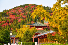 龙口南山旅游景区-龙口