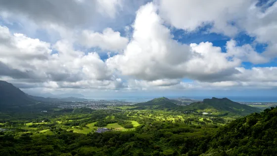 大風口