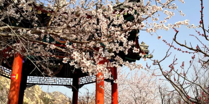 北京鳳凰嶺景區