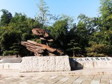 桥西历史街区-杭州-qtrqqcl