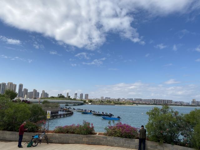 五缘湾湿地公园旅行图片 6