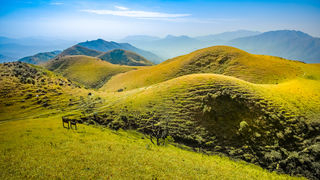 广东人自驾游阳江，搜索乡村美食之旅