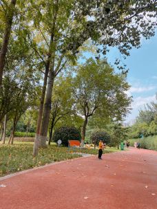 西安城市运动公园-西安-YoYo_8H3L6K7N