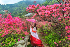 武汉游记图片] 武汉，你好！春日花样生活，6天5晚圆自己一场风花雪月的梦