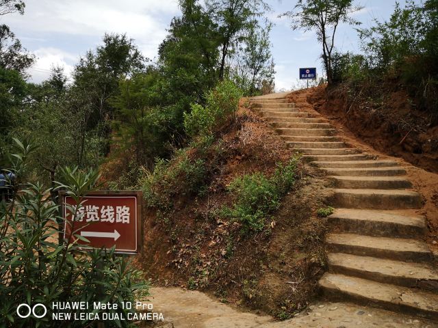 土林旅行图片 6