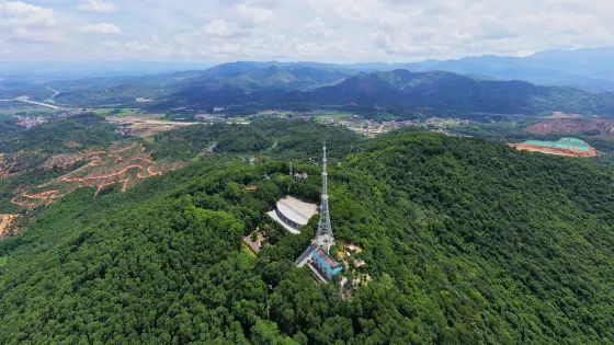 蕉石嶺森林公園
