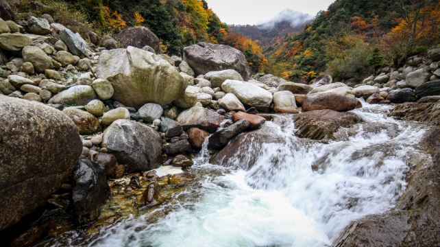 唐家河自然风景区