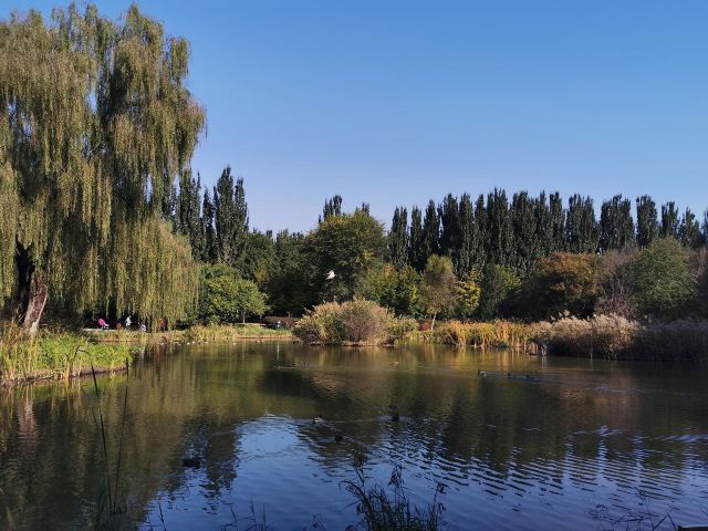 将府公园旅行图片 3