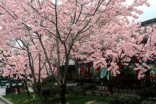 横店影视城清明上河图景区