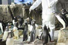 海滨城浩海立方海洋公园-成都-C-IMAGE