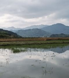查济古建筑群游记图文-一江烟雨三州春  （二）  金山寺  查济古镇