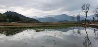 一江烟雨三州春  （二）  金山寺  查济古镇